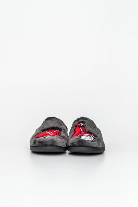 ZAPATILLA DE CASA ABIERTA...